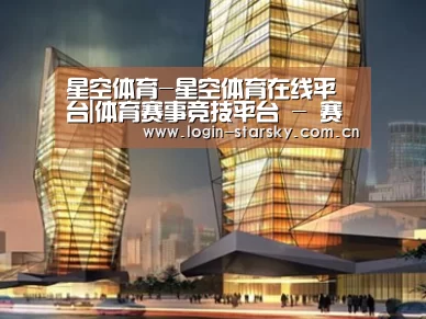 案例展示三