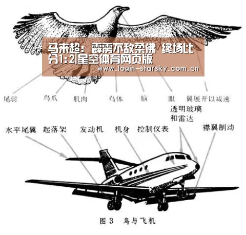 星空体育