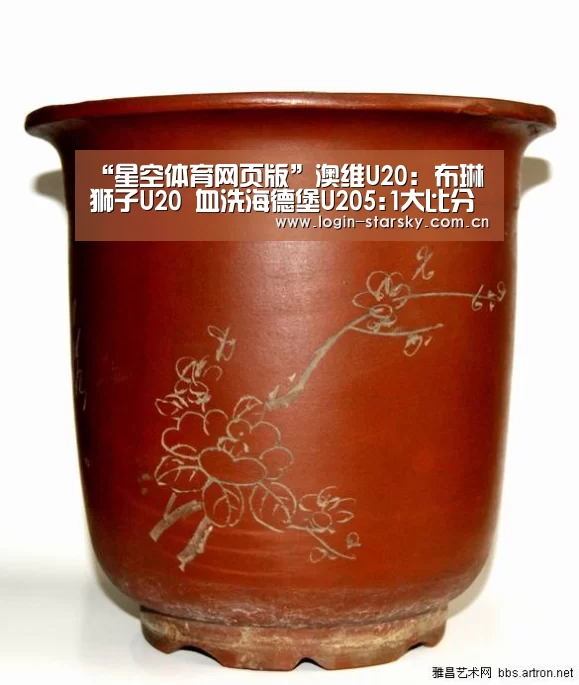 星空体育网页版